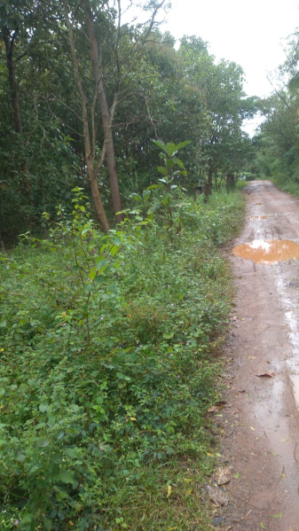 1 RK 10 Guntha Farm House for Sale in Jay Nagar, Saptapur, Dharwad