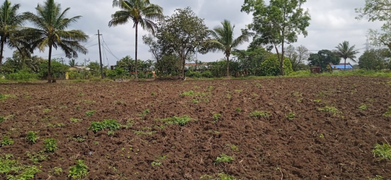  2 Acre Warehouse for Rent in Hirebagewadi, Belgaum