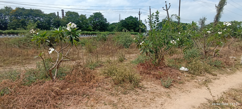 Palej, Bharuch photo 3