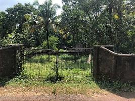 Residential Plot for Sale in Chengamanad, Ernakulam