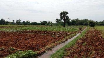  Agricultural Land for Sale in Purnia, Ranipatra, Purnia