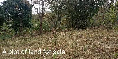  Agricultural Land for Sale in Kangpokpi, Sadar Hills Autonomous