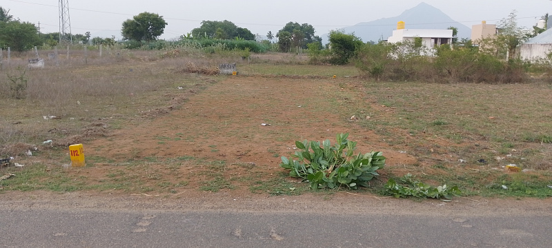  1340 Sq.ft. Residential Plot for Sale in Nallavanpalayam, Tiruvannamalai