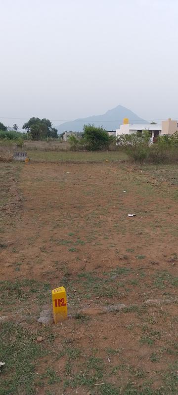  1340 Sq.ft. Residential Plot for Sale in Nallavanpalayam, Tiruvannamalai