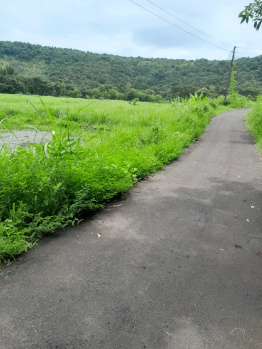 Agricultural Land for Sale in Dapoli, Ratnagiri