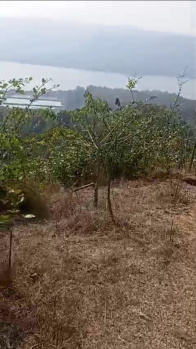 Commercial Land for Sale in Mandangad, Ratnagiri