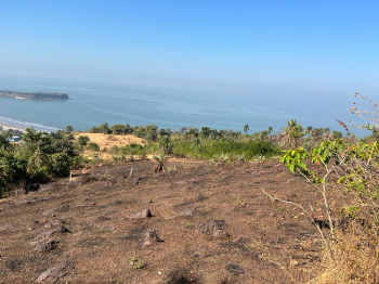  Commercial Land for Sale in Dapoli, Ratnagiri