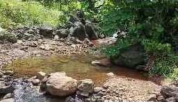 Agricultural Land for Sale in Mahad, Raigad