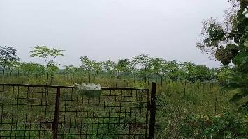  Agricultural Land for Sale in suryapet, Suryapet, Suryapet