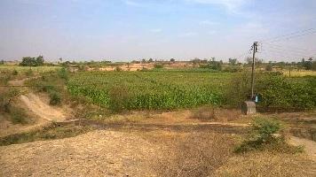  Agricultural Land for Sale in Vishrambag, Sangli