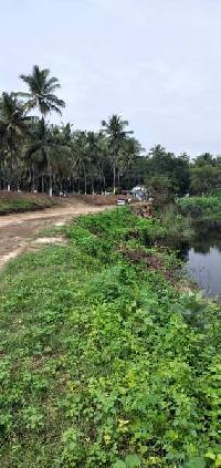  Agricultural Land for Sale in Pollachi, Coimbatore