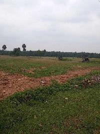  Commercial Land for Sale in Kinathukadavu, Coimbatore