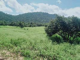  Agricultural Land for Sale in Palani, Dindigul