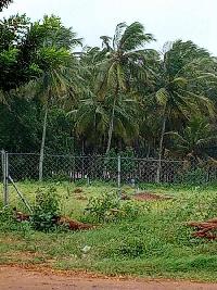  Agricultural Land for Sale in Palani, Dindigul