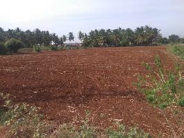  Agricultural Land for Sale in Samalapuram, Coimbatore