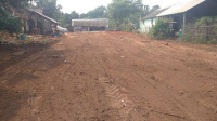 Commercial Land for Sale in Srimushnam, Cuddalore