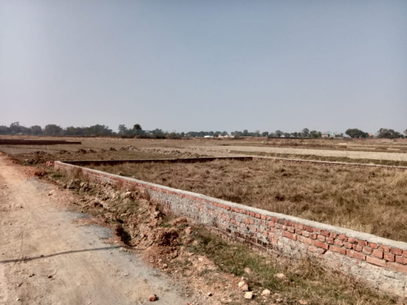 Residential Plot 2378 Sq.ft. for Sale in Chandwe, Ranchi
