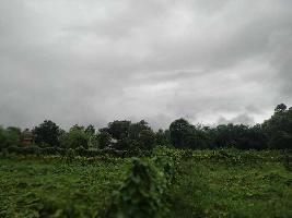  Agricultural Land for Sale in Jamalpur, Munger