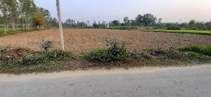  Agricultural Land for Sale in Bilari, Moradabad