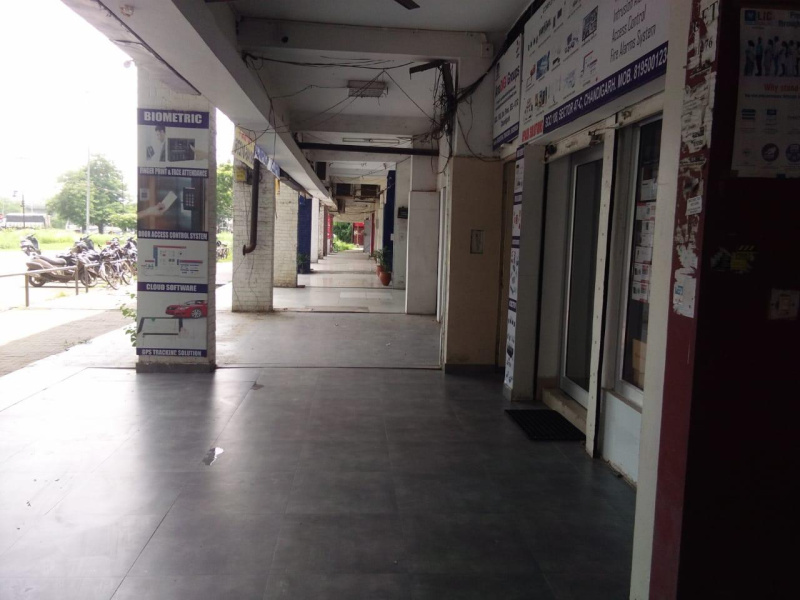 Sector 47, Chandigarh photo 2