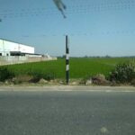  Agricultural Land for Sale in Main Road, Nadiad