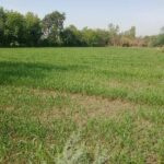  Agricultural Land for Sale in NH 8, Surat