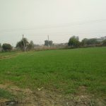  Residential Plot for Sale in Kasindra, Ahmedabad