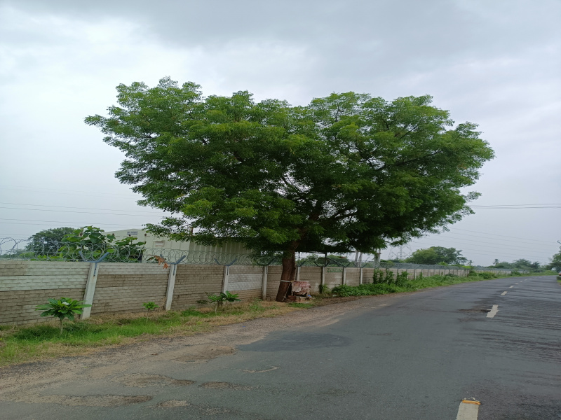  Agricultural Land 19194 Sq. Yards for Sale in Rancharda, Ahmedabad