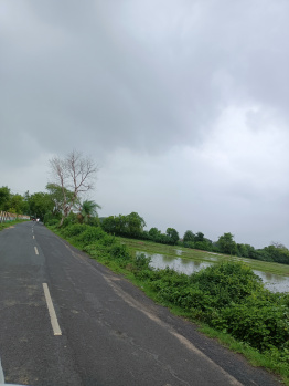  Agricultural Land for Sale in Kasindra, Ahmedabad