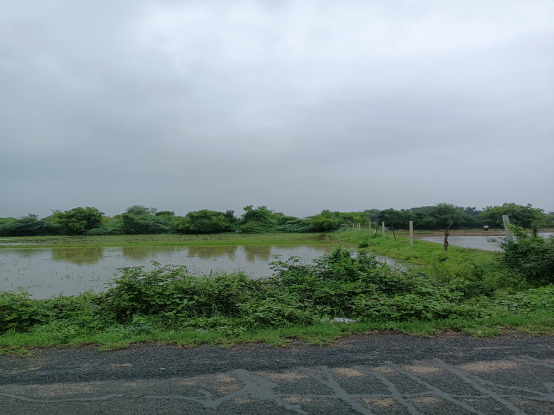  Agricultural Land 2 Bigha for Sale in Kasindra, Ahmedabad
