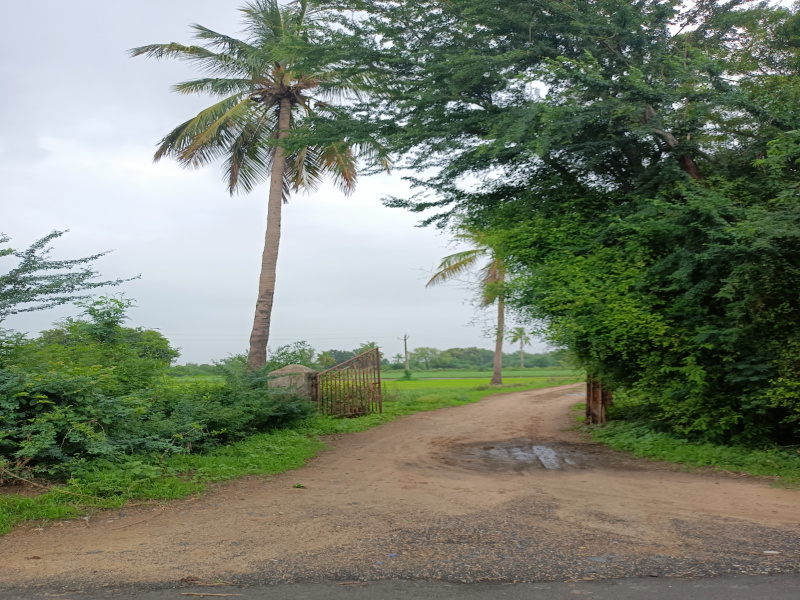  Agricultural Land 2 Bigha for Sale in Kasindra, Ahmedabad