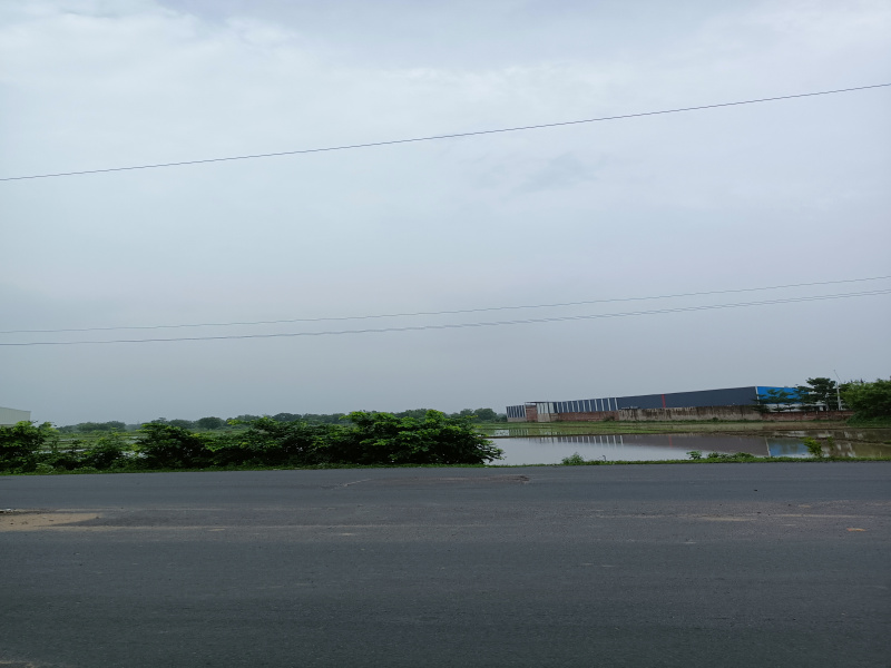  Commercial Land 8 Bigha for Sale in Bhat Circle, Ahmedabad