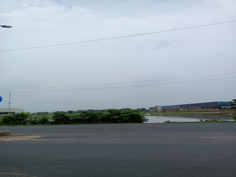  Commercial Land 8 Bigha for Sale in Bhat Circle, Ahmedabad