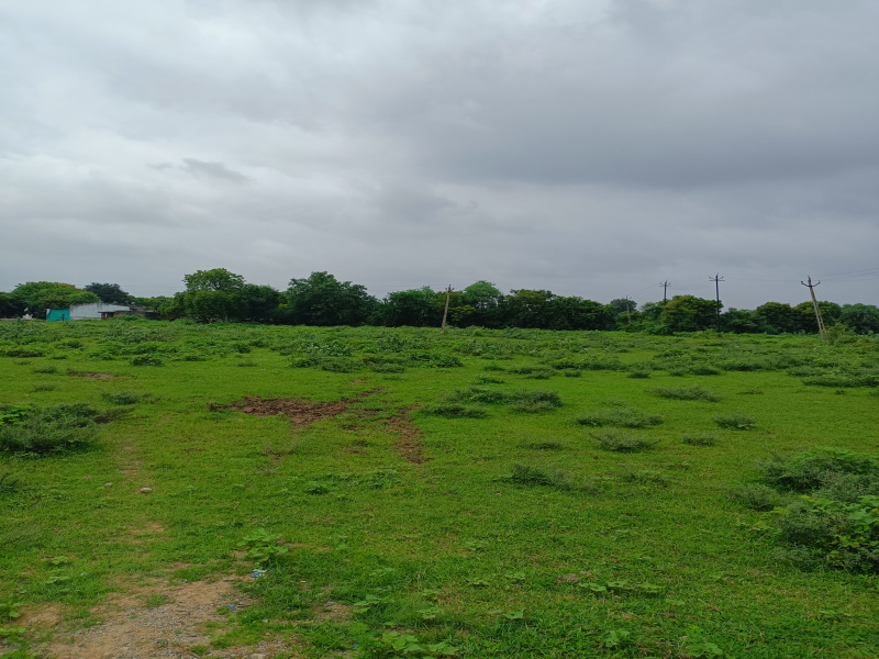  Commercial Land 24000 Sq. Yards for Sale in Ring Road  West, Ahmedabad
