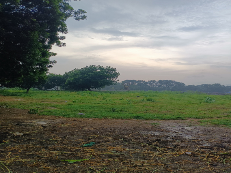 548 Sq.ft. Residential Plot for Sale in Shilaj, Ahmedabad