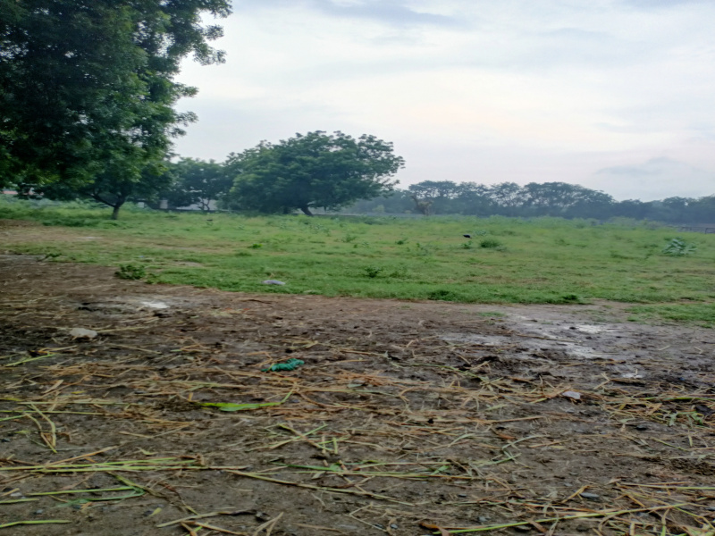  548 Sq.ft. Residential Plot for Sale in Shilaj, Ahmedabad