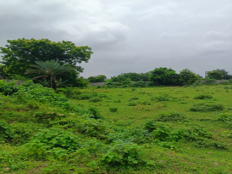  1000 Sq. Yards Commercial Land for Rent in South Bopal, Ahmedabad