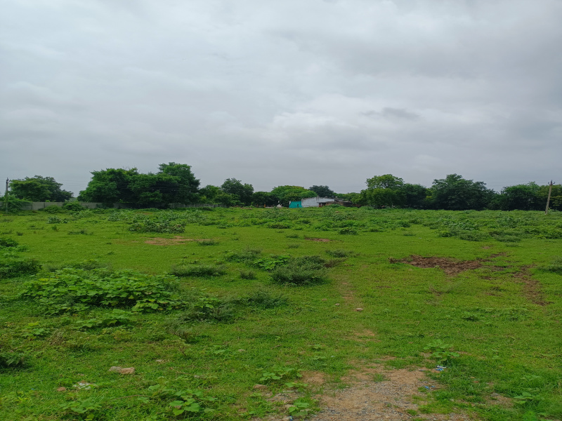  1000 Sq. Yards Commercial Land for Rent in South Bopal, Ahmedabad