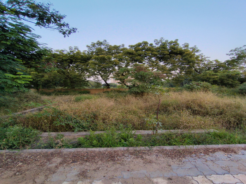  247 Sq. Yards Residential Plot for Sale in South Bopal, Ahmedabad