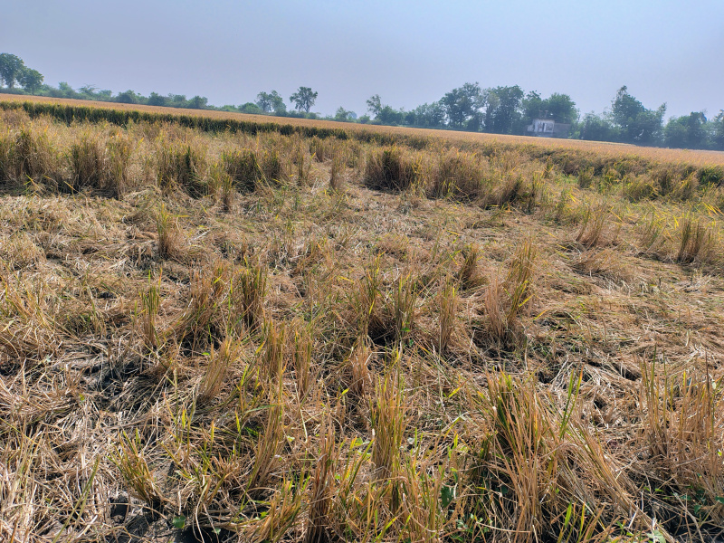  17000 Sq. Yards Agricultural/Farm Land for Sale in Jetalpur, Ahmedabad