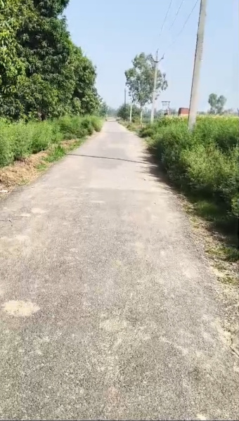Hasanpur, Amroha photo 4