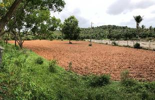  Agricultural Land for Sale in Bogadi Gaddige Road, Mysore