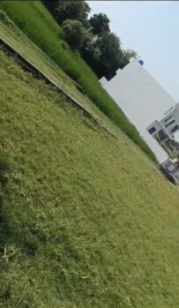  Residential Plot for Sale in Samba, Jammu