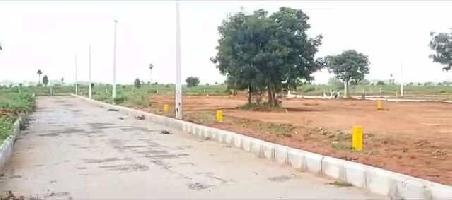  Residential Plot for Sale in Rudraram, Hyderabad