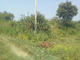  Residential Plot for Sale in Dudhi, Sonebhadra