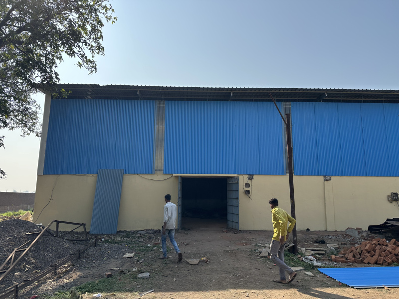 Sarsa, Anand photo 4