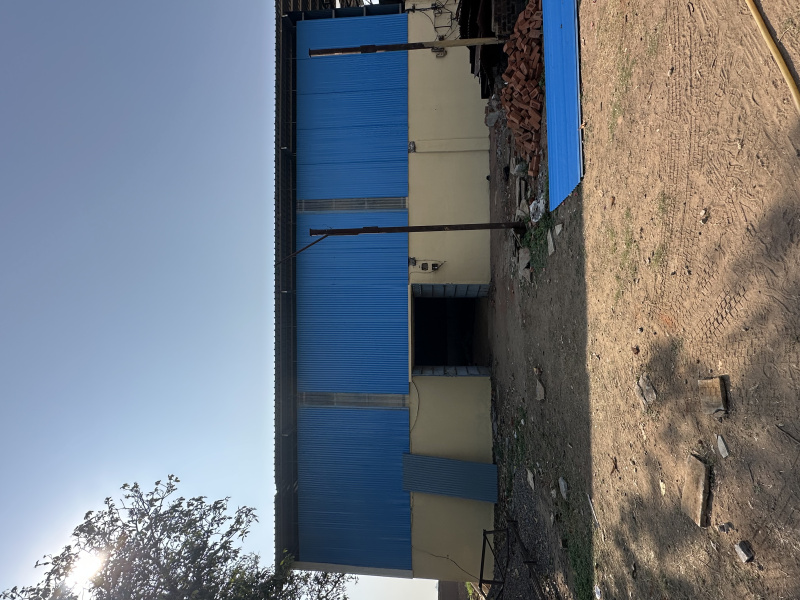 Sarsa, Anand photo 3