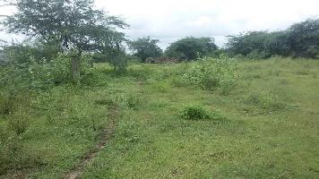  Agricultural Land for Sale in Minjur, Thiruvallur