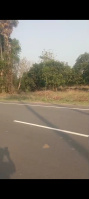  Agricultural Land for Sale in Alamanda, Vizianagaram
