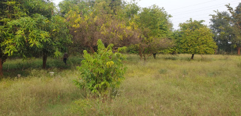  Commercial Land for Sale in Akota, Vadodara